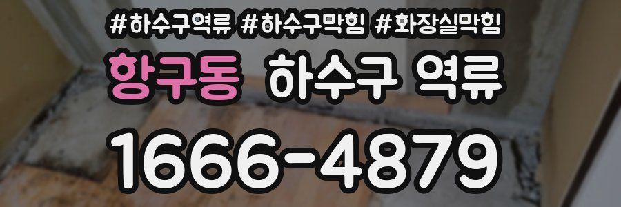 항구동 하수구 역류