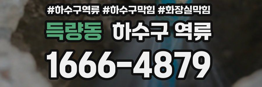 득량동 하수구 역류
