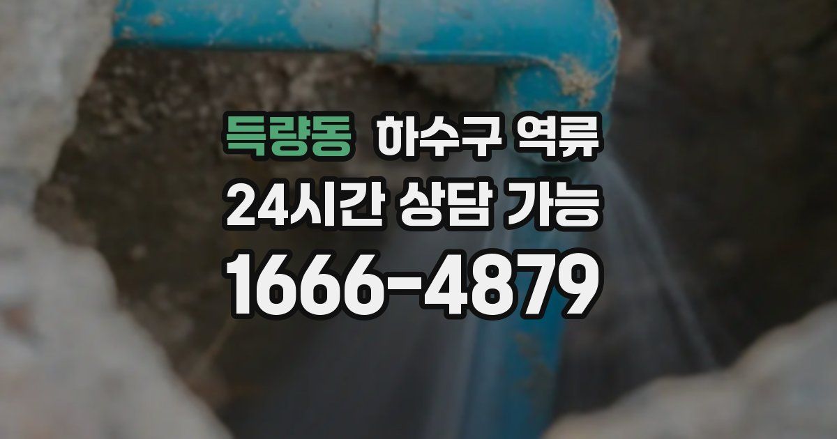 득량동 하수구 역류