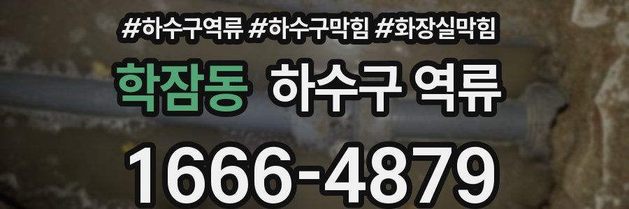 학잠동 하수구 역류