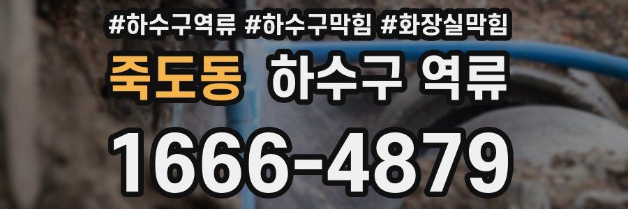 죽도동 하수구 역류