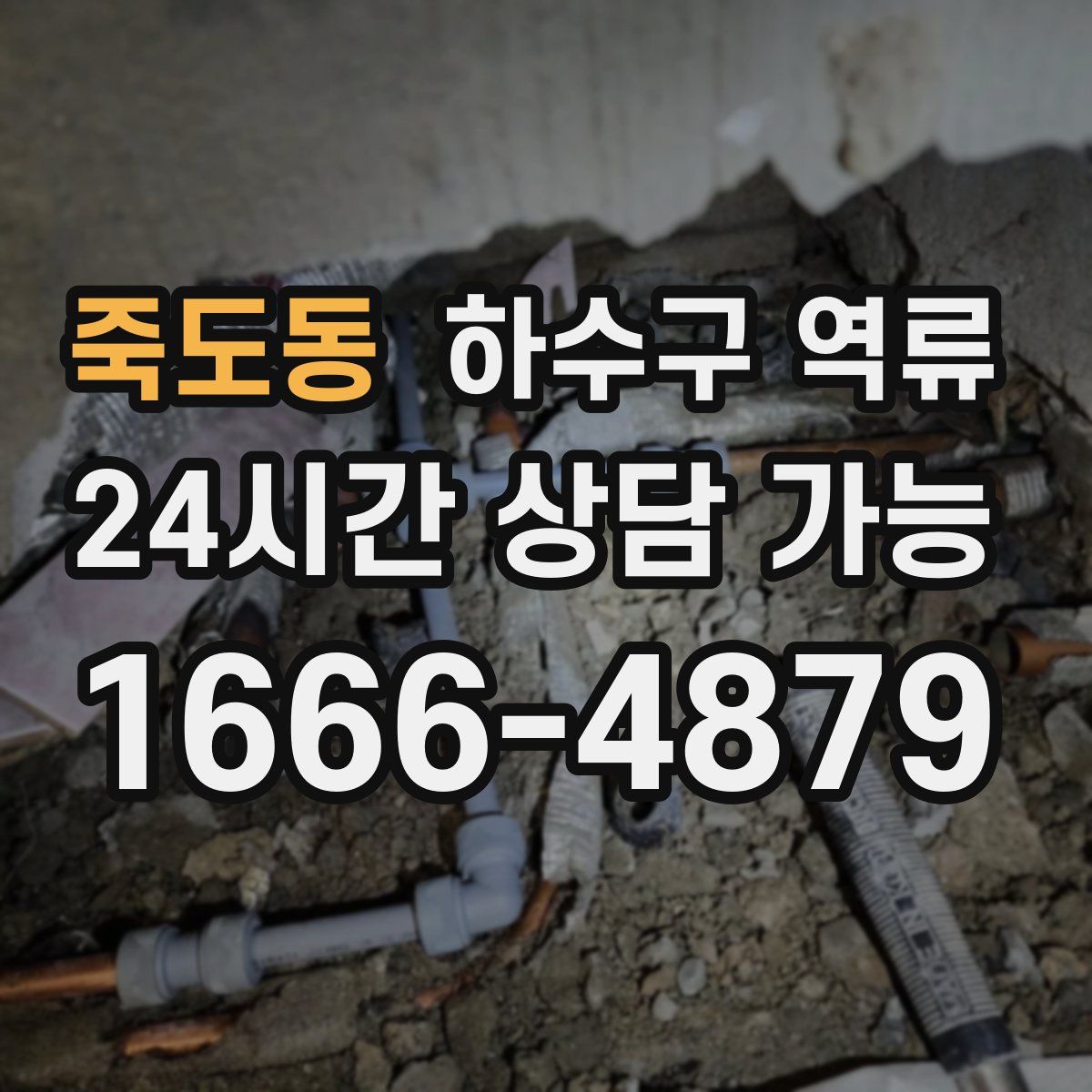 죽도동 하수구 역류