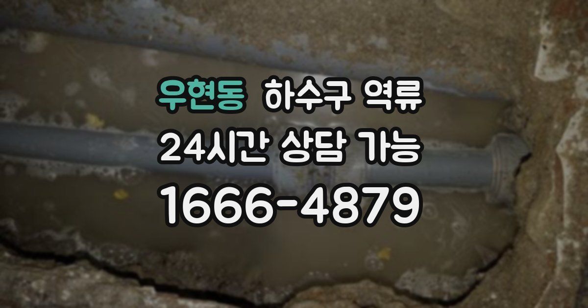 우현동 하수구 역류
