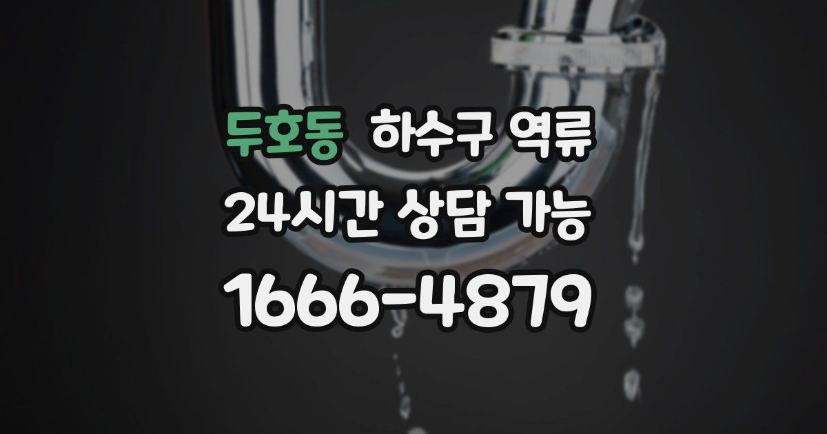 두호동 하수구 역류