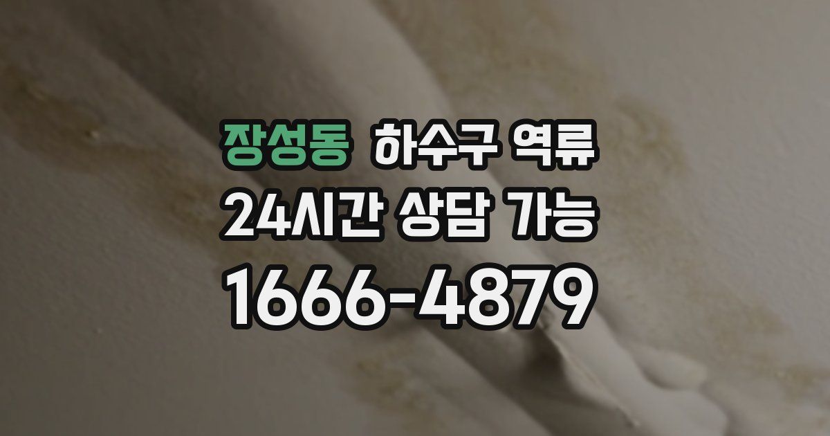 장성동 하수구 역류