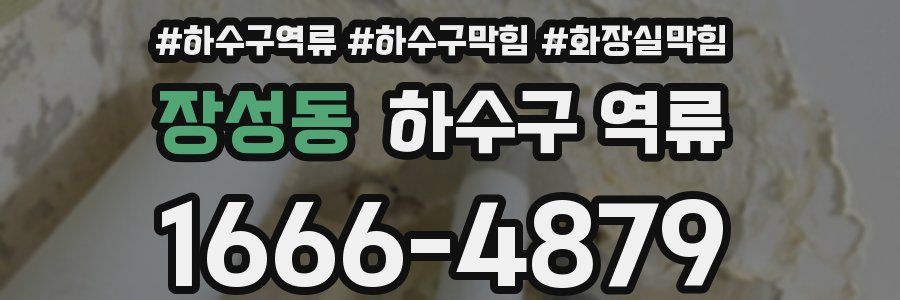 장성동 하수구 역류