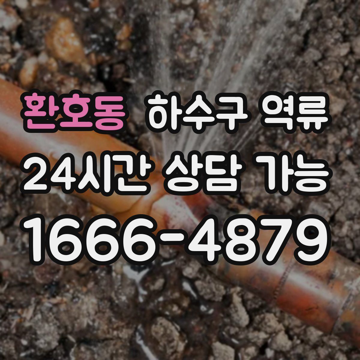 환호동 하수구 역류