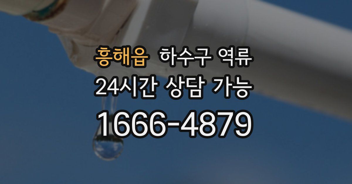 흥해읍 하수구 역류