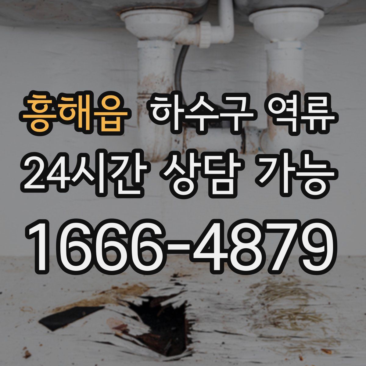 흥해읍 하수구 역류