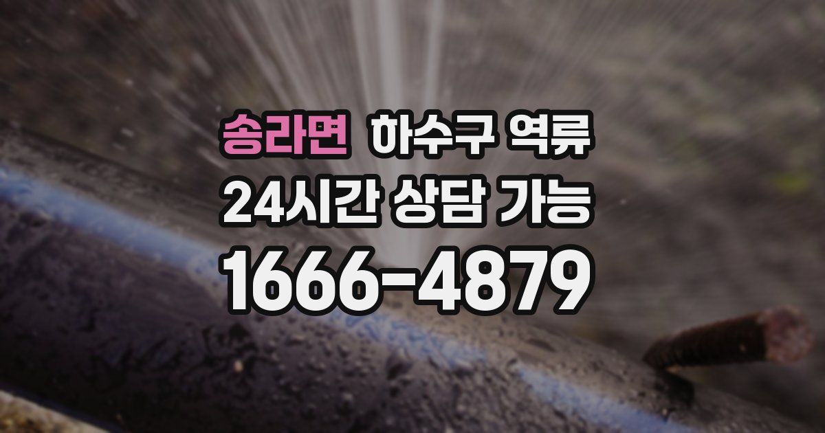 송라면 하수구 역류