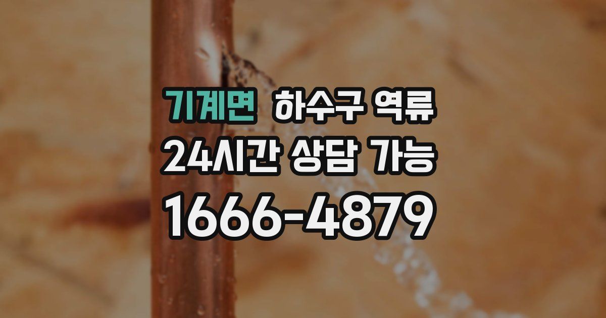 기계면 하수구 역류