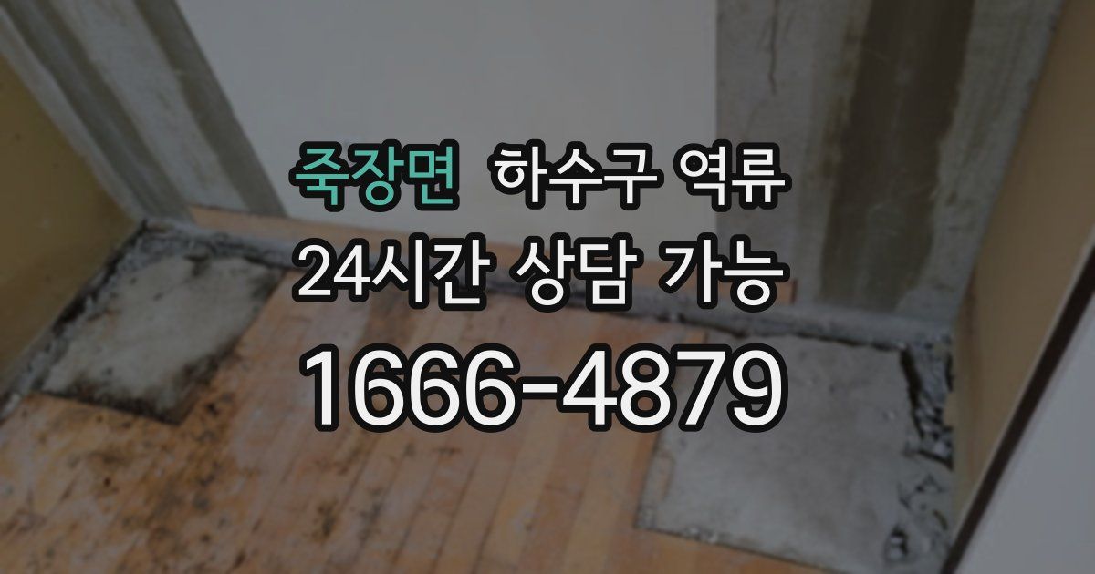 죽장면 하수구 역류