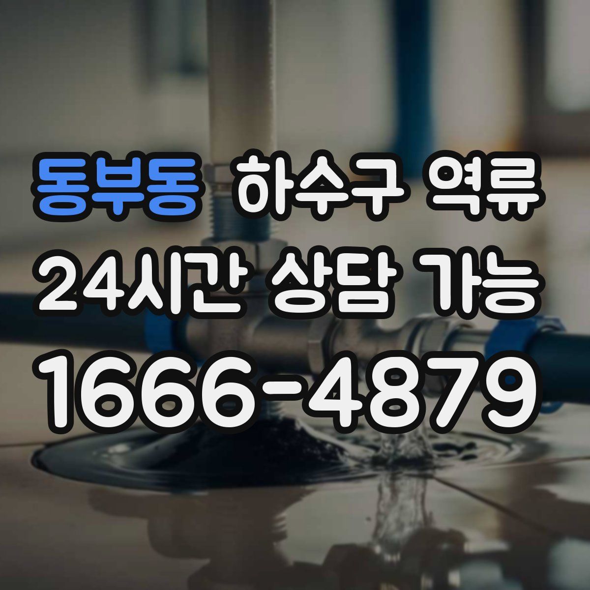 동부동 하수구 역류