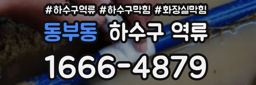 동부동 하수구 역류