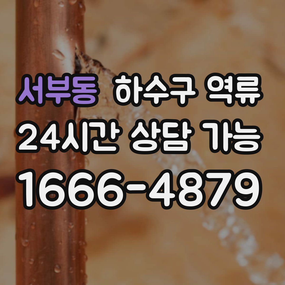 서부동 하수구 역류