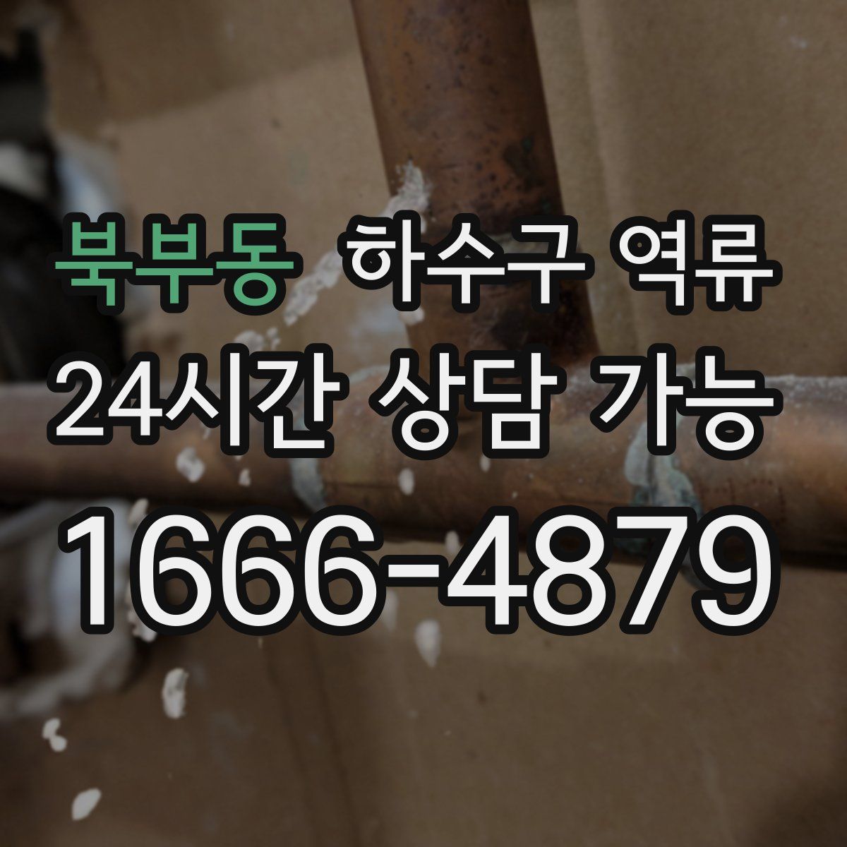 북부동 하수구 역류