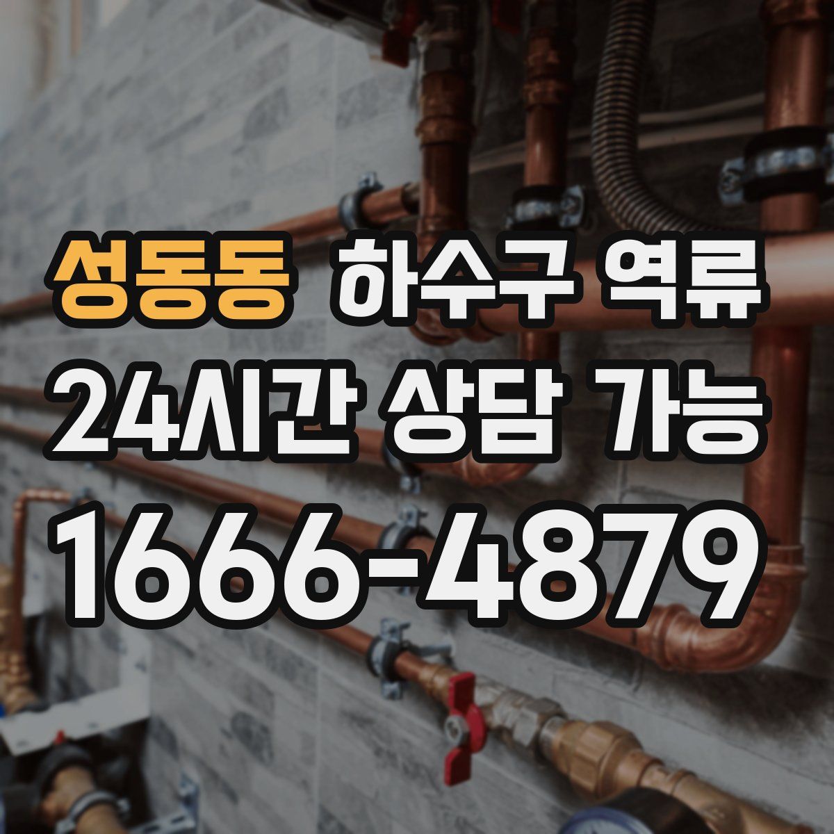 성동동 하수구 역류