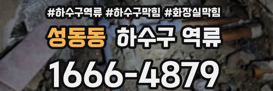 성동동 하수구 역류