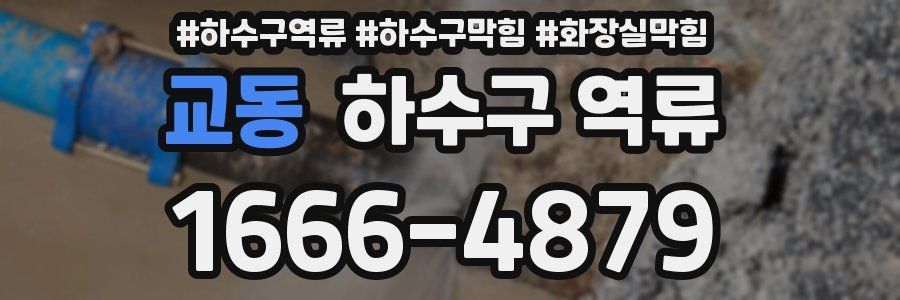 교동 하수구 역류