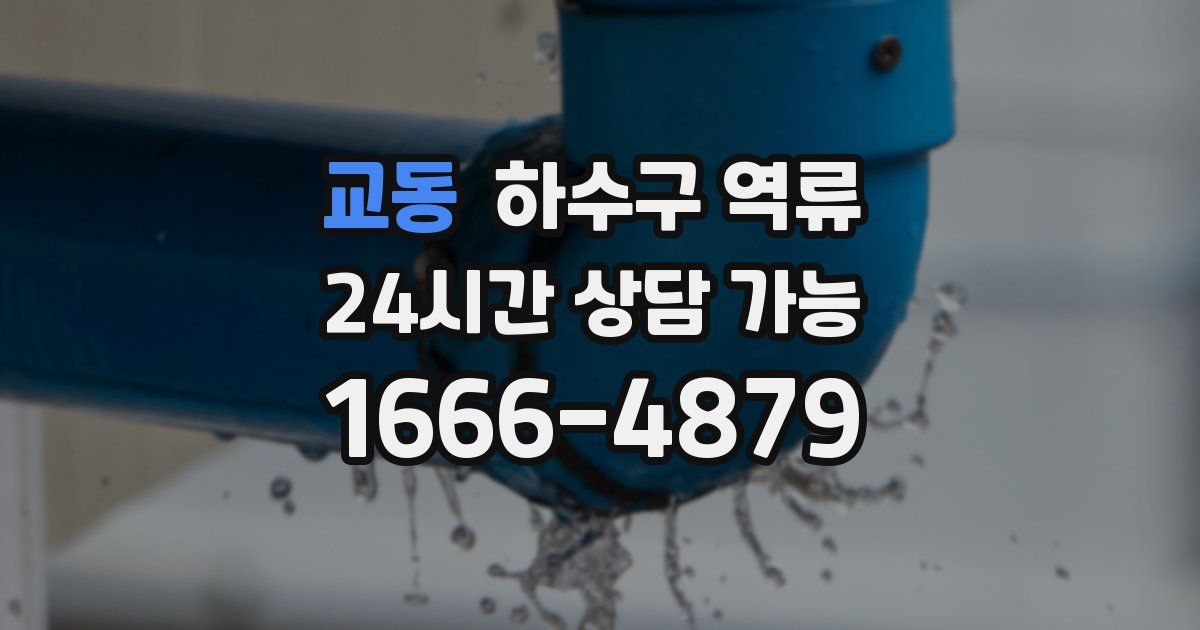 교동 하수구 역류