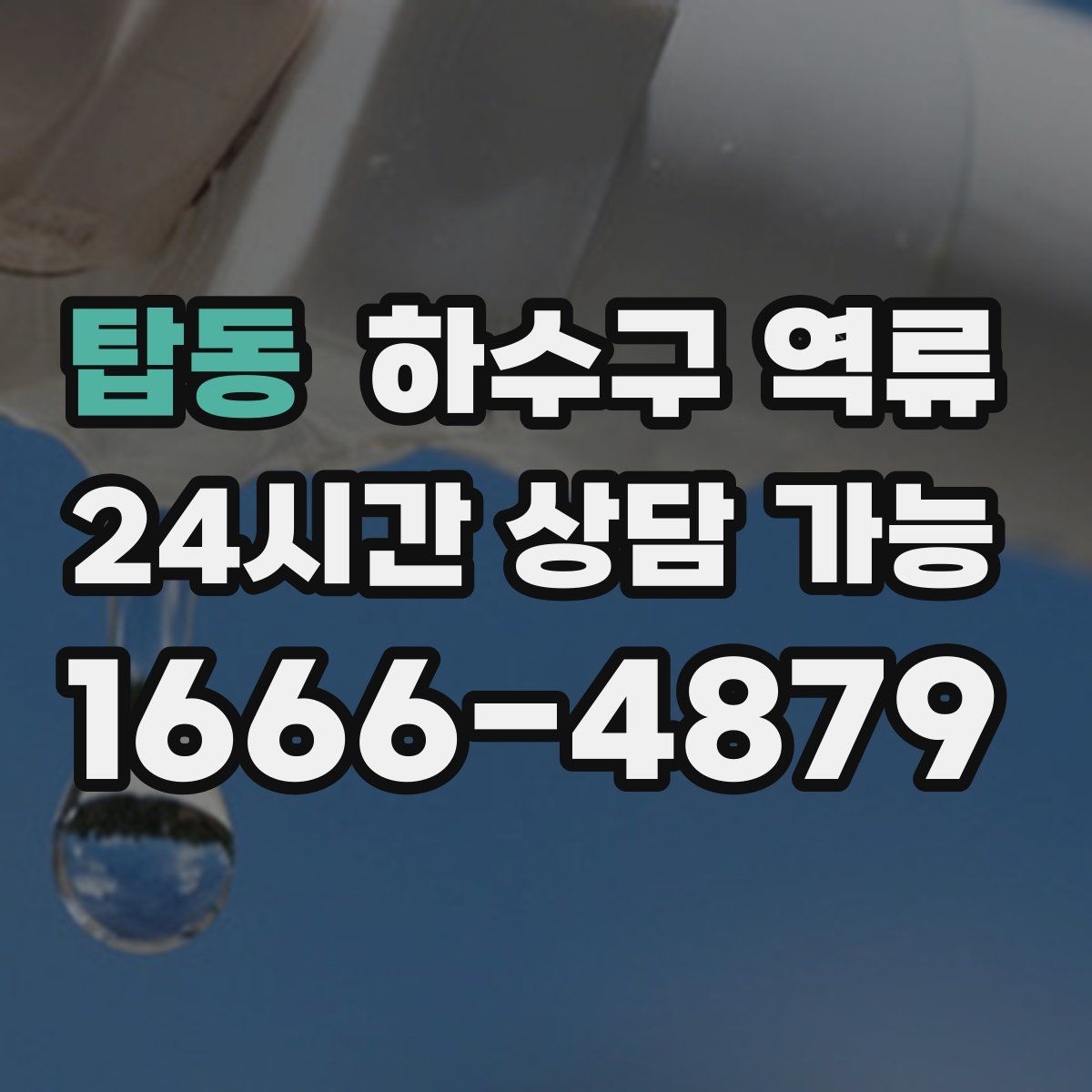 탑동 하수구 역류