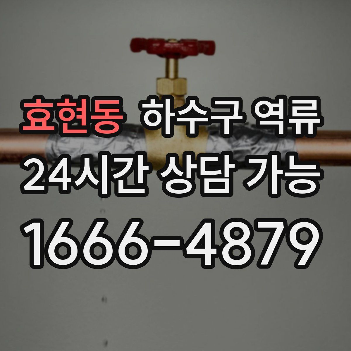 효현동 하수구 역류