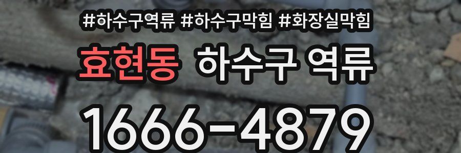 효현동 하수구 역류