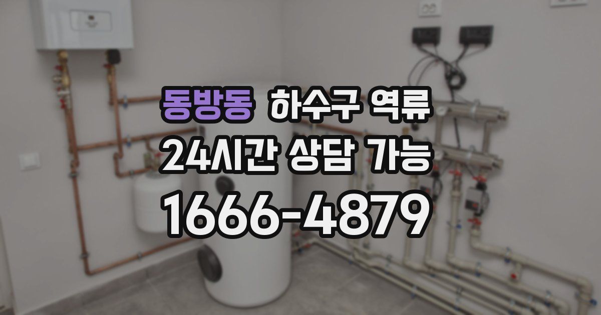 동방동 하수구 역류