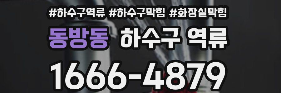 동방동 하수구 역류