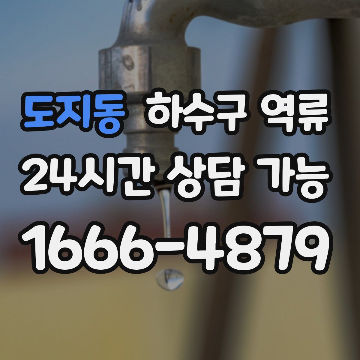 도지동 하수구 역류