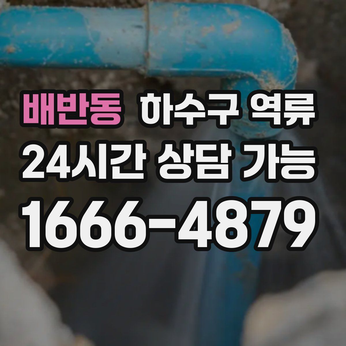 배반동 하수구 역류