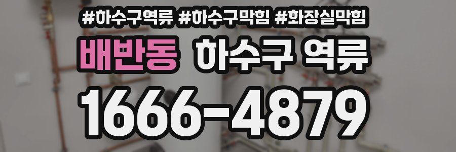 배반동 하수구 역류