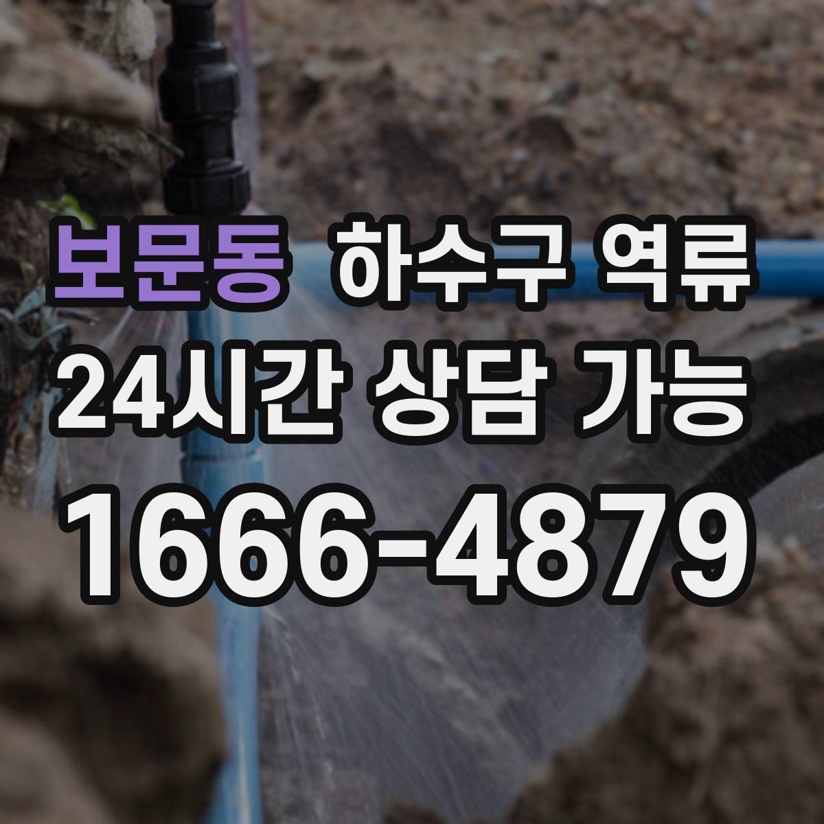 보문동 하수구 역류