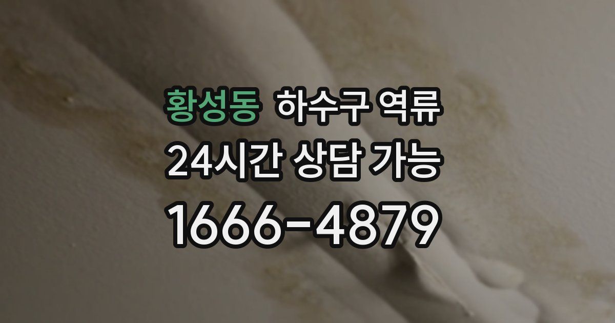 황성동 하수구 역류