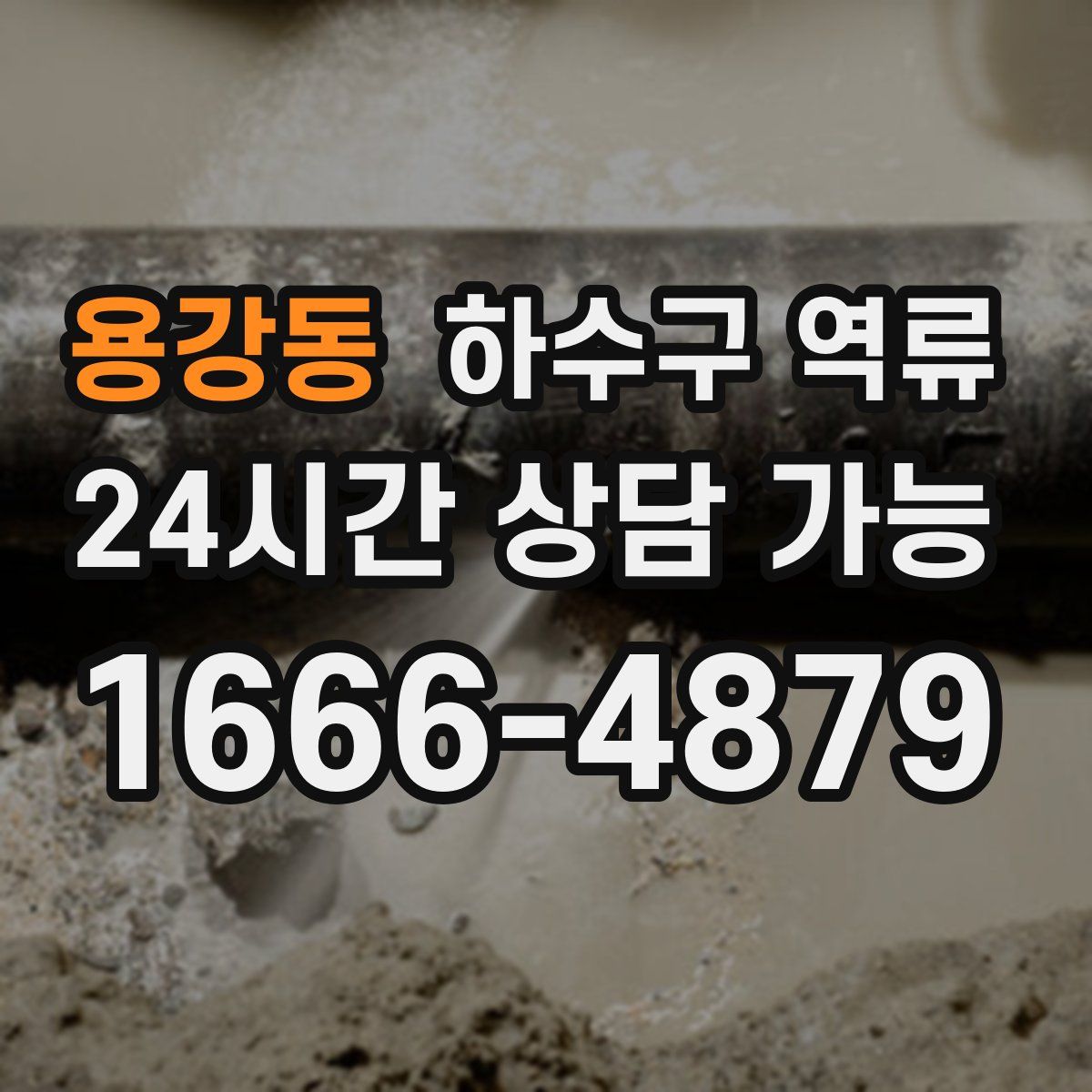 용강동 하수구 역류