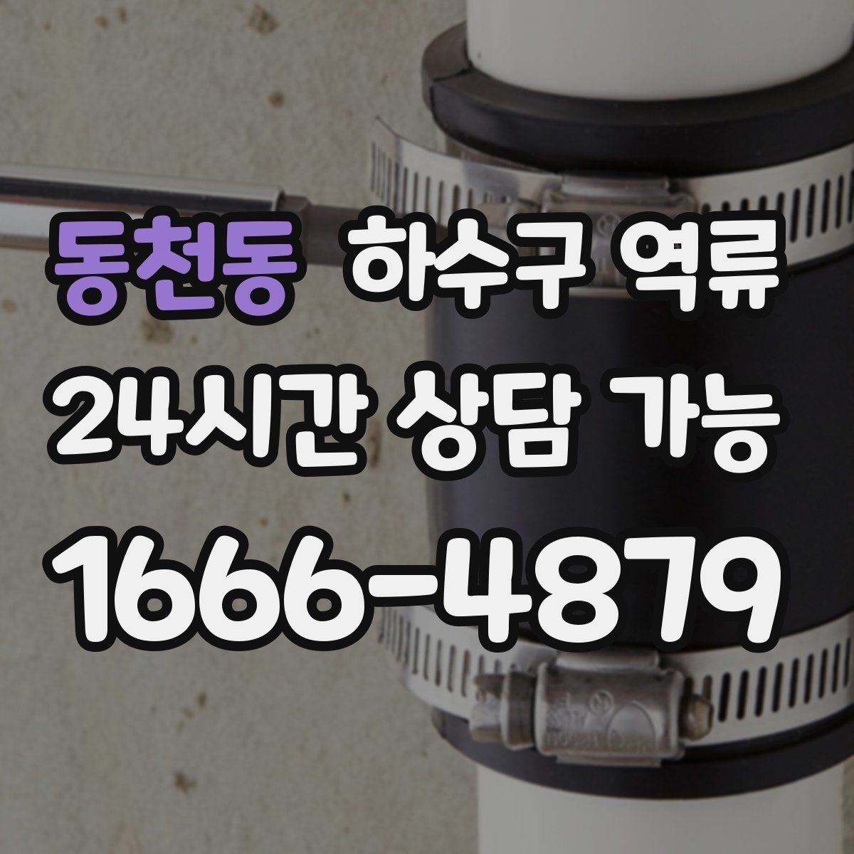 동천동 하수구 역류