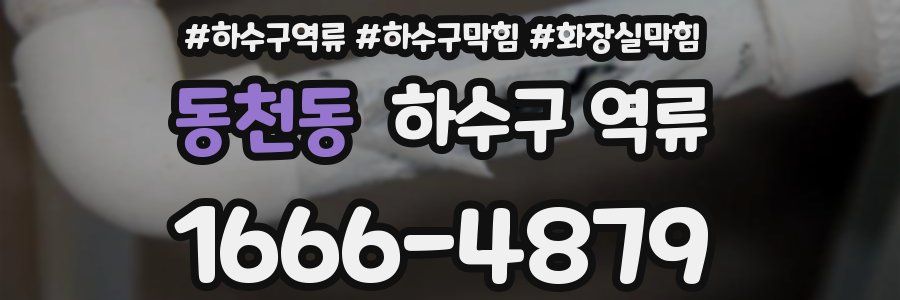 동천동 하수구 역류