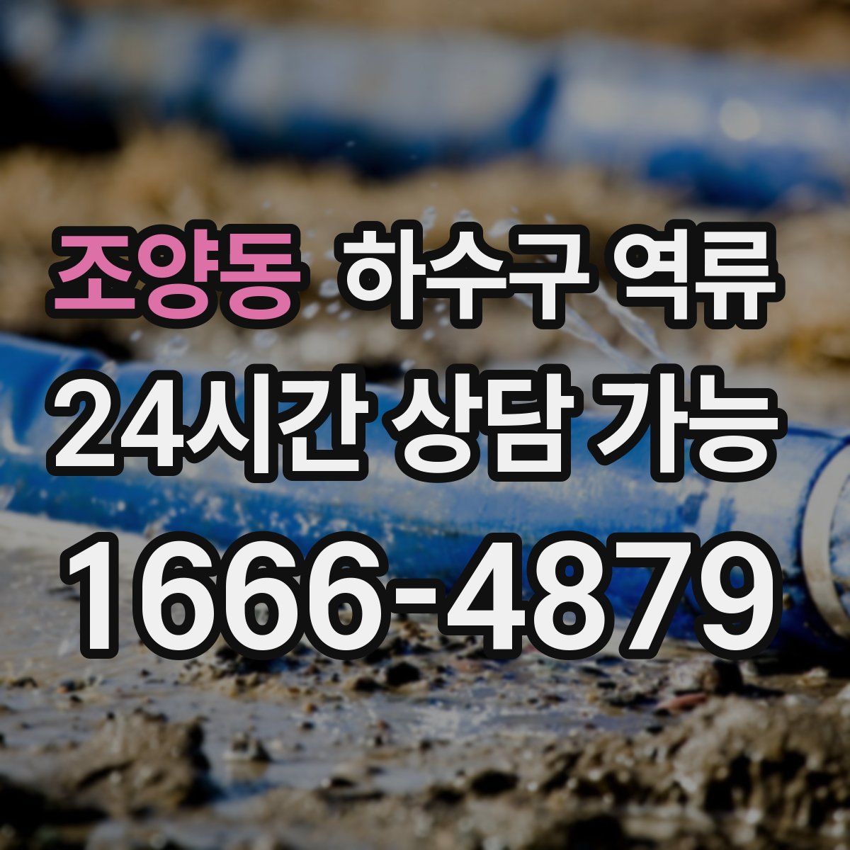 조양동 하수구 역류