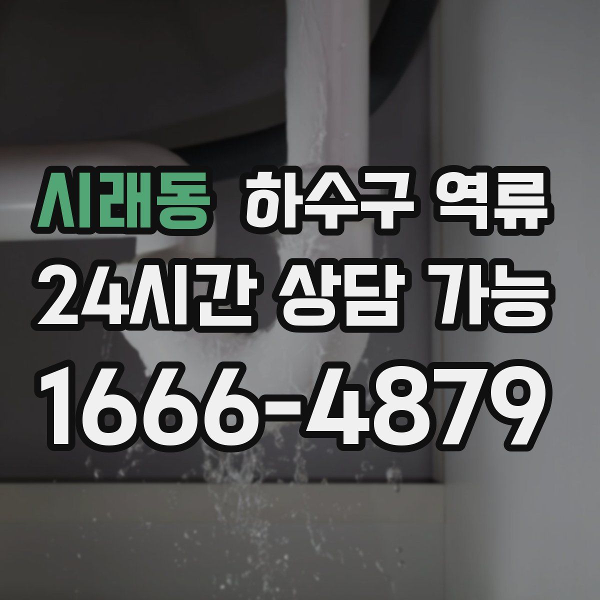 시래동 하수구 역류