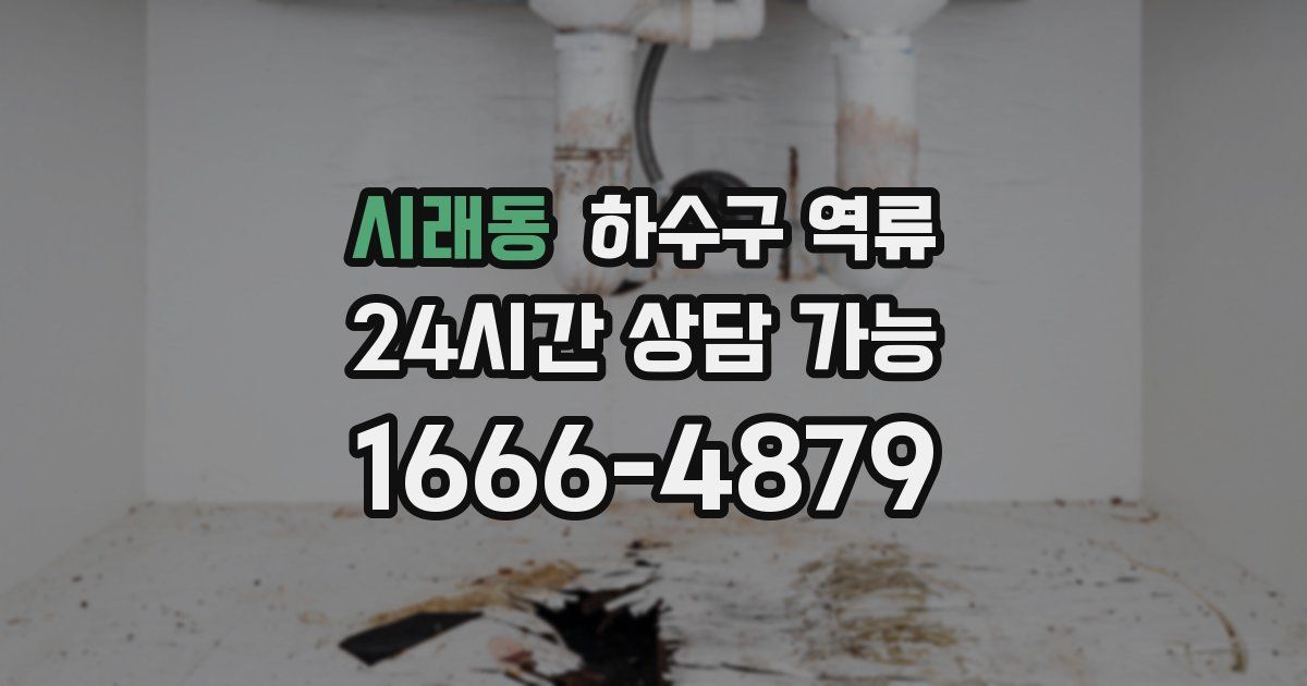 시래동 하수구 역류