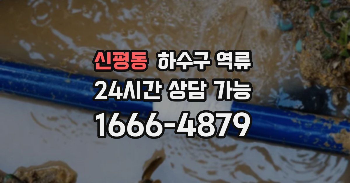 신평동 하수구 역류