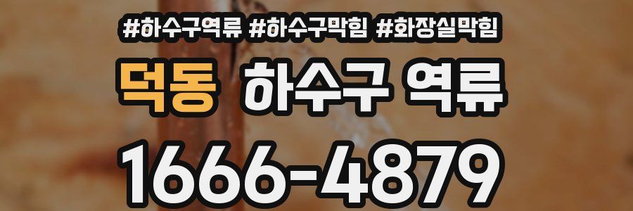 덕동 하수구 역류