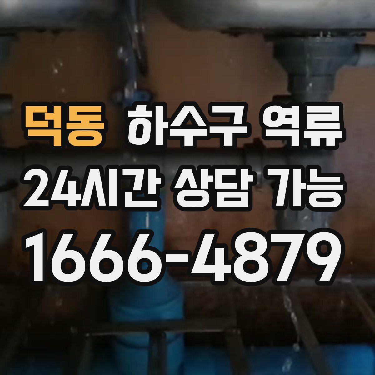 덕동 하수구 역류