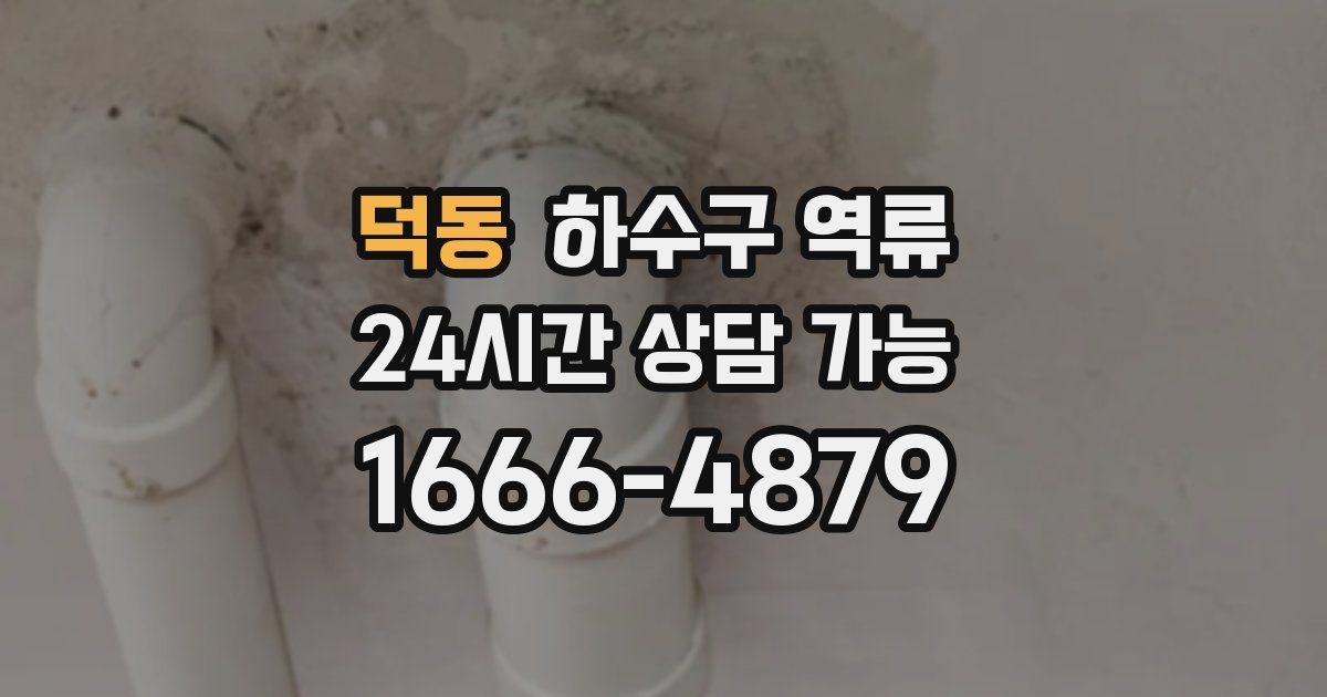 덕동 하수구 역류