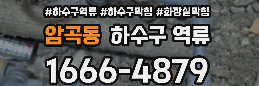 암곡동 하수구 역류