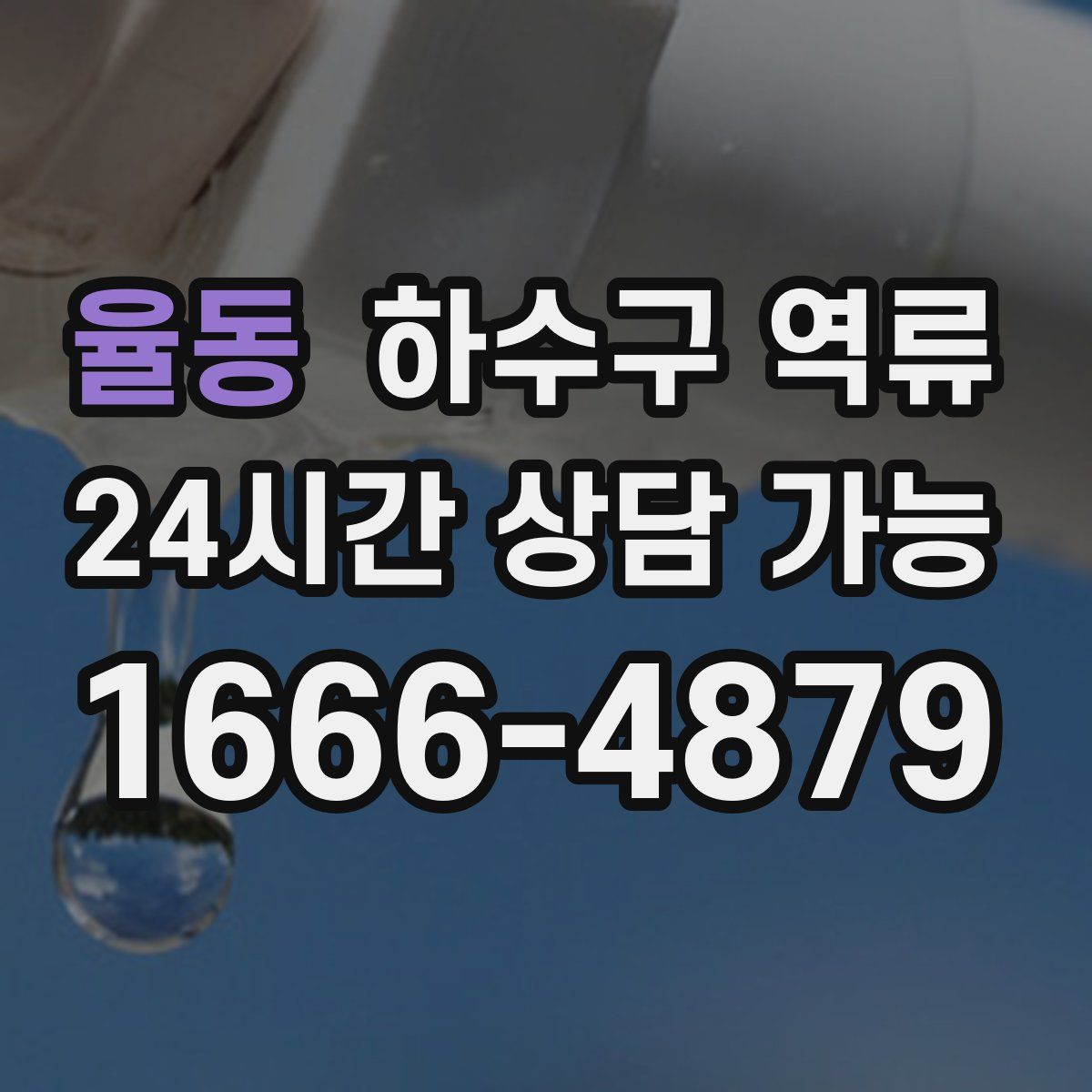 율동 하수구 역류