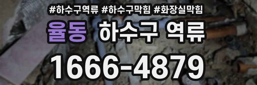 율동 하수구 역류