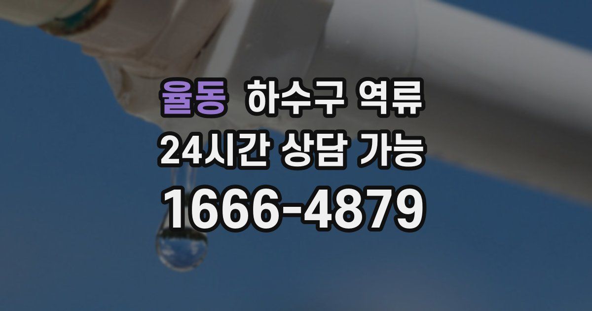 율동 하수구 역류