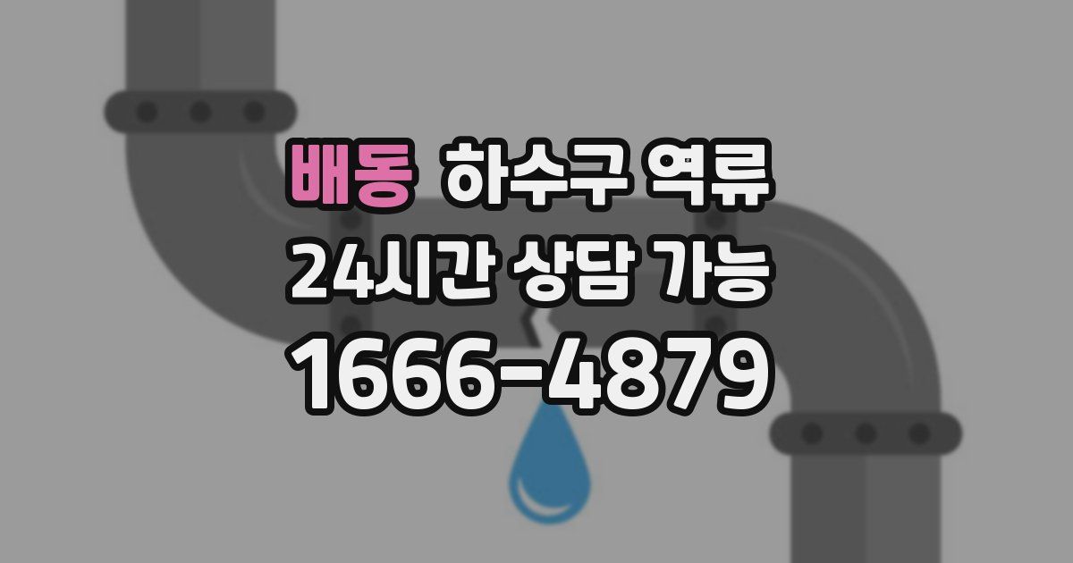 배동 하수구 역류