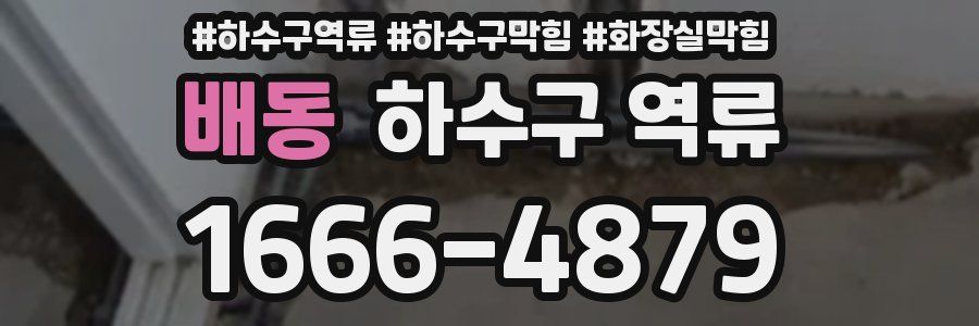 배동 하수구 역류